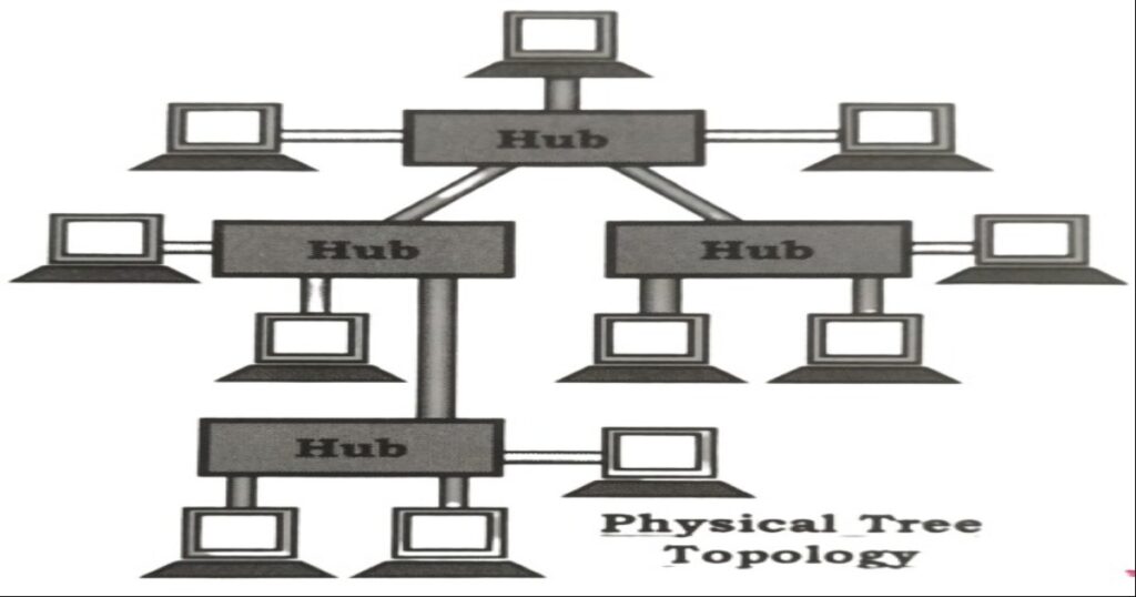 Physical TREE Topology
